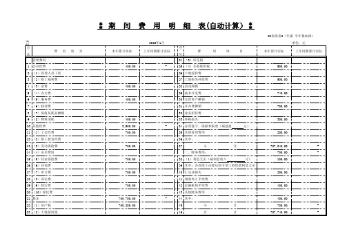 期间费用明细表模板