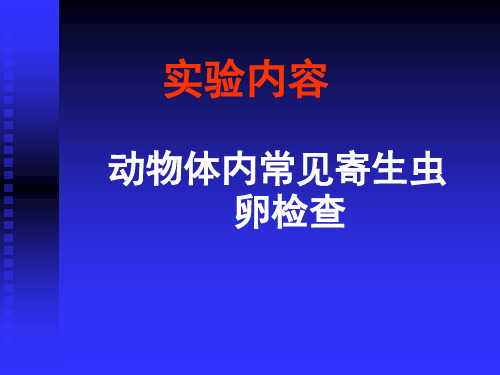 动物体内常见寄生虫卵的检查+