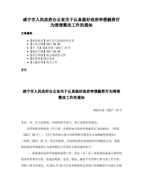 咸宁市人民政府办公室关于认真做好政府举债融资行为清理整改工作的通知