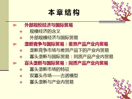 国际经济学第六章规模经济不完全竞争与国际贸易