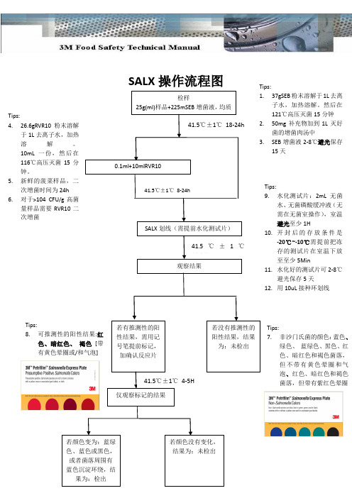 沙门测试片操作流程图