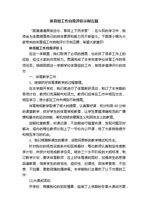 体育组工作自我评价示例五篇