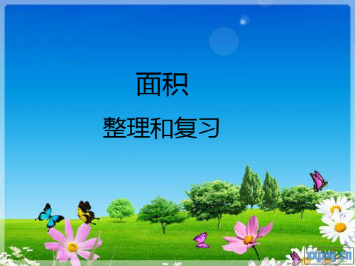 面积复习课1