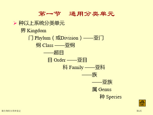 微生物的分类和鉴定