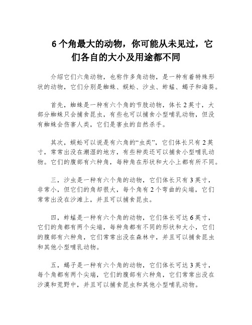 6个角最大的动物,你可能从未见过,它们各自的大小及用途都不同