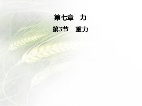 人教版八年级物理下册第七章第3节 重力