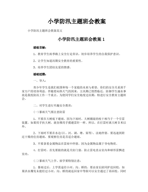 小学防汛主题班会教案