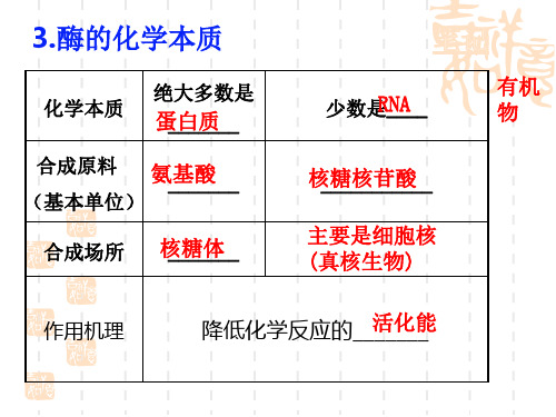酶的特性