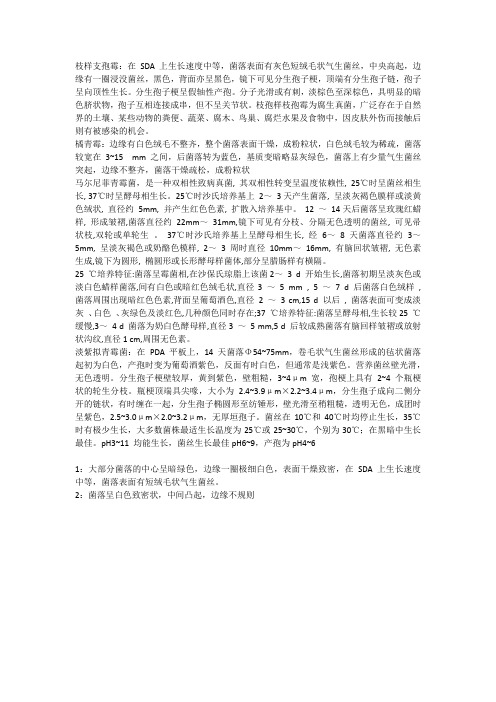 霉菌形态