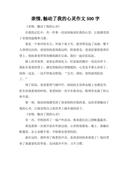 亲情,触动了我的心灵作文500字