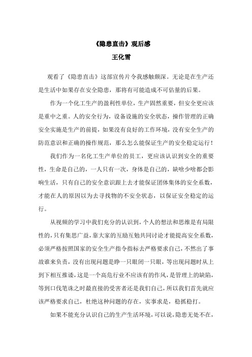 王化雪《隐患直击》观后感