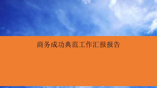 商务成功典范工作汇报报告