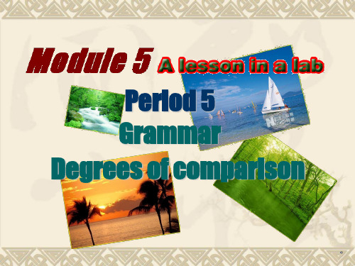 外研版英语必修一module 5 a lesson in a lab grammarPPT