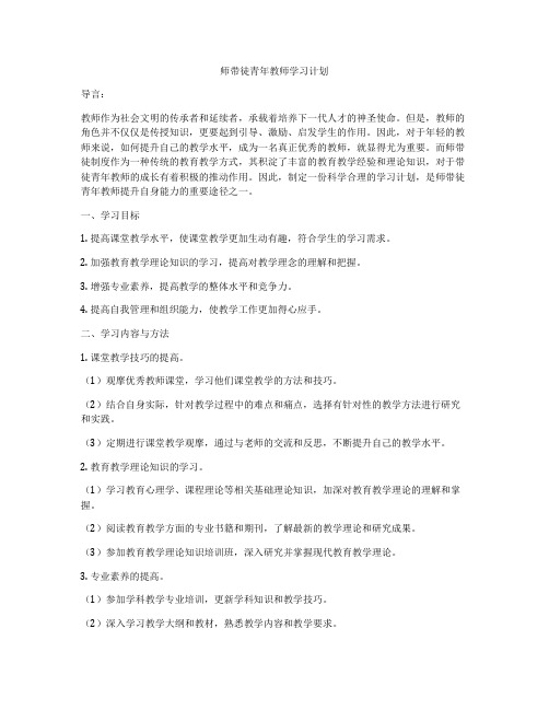 师带徒青年教师学习计划