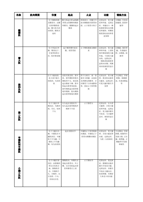 下肢肌起止点