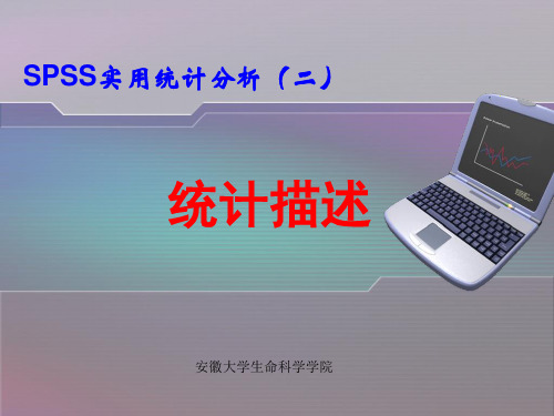 SPSS-2 统计描述