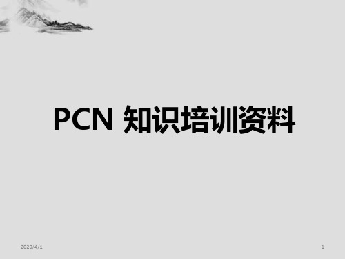 PCN知识培训资料 PPT课件