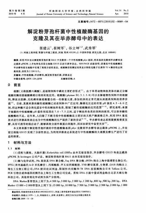 解淀粉芽孢杆菌中性植酸酶基因的克隆及其在毕赤酵母中的表达