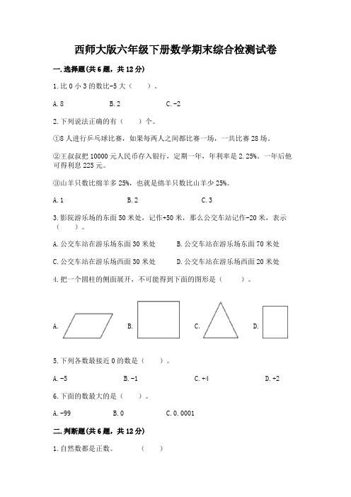 西师大版六年级下册数学期末综合检测试卷附参考答案(培优B卷)