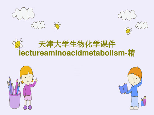 天津大学生物化学课件lectureaminoacidmetabolism-精PPT共70页