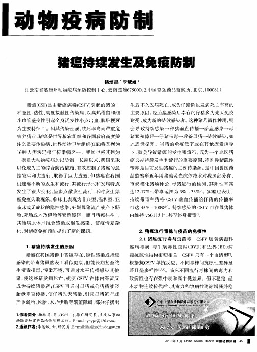 猪瘟持续发生及免疫防制