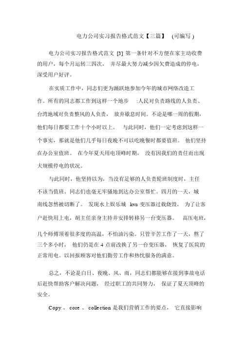 电力公司实习报告格式范文【三篇】(可编辑).doc