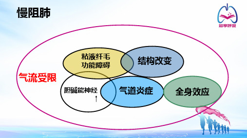 慢阻肺的胆碱能机制与抗胆碱能治疗