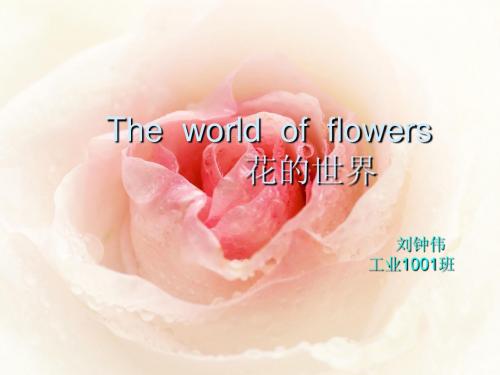 英语The  world  of  flowers