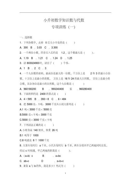 小升初数学知识点《数与代数》专项训练