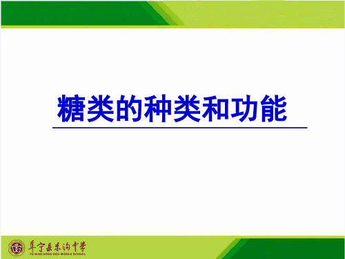 苏教版高中生物必修一 糖类的种类和功能