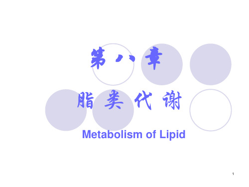 08-脂类代谢