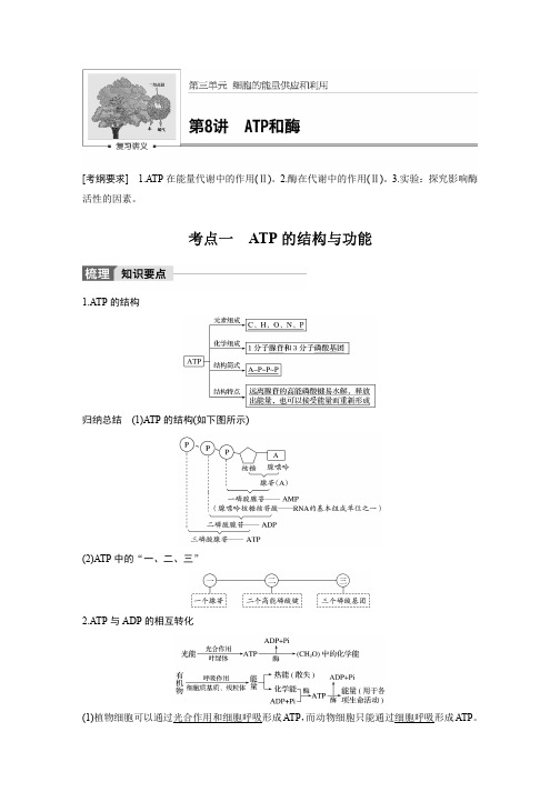 步步高 一轮复习生物第三单元 第8讲