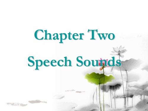 语言学第二单元Chapter 2_sound