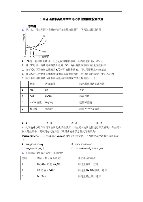 山西省吕梁市高级中学中考化学自主招生检测试题