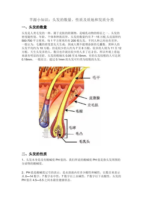 头发的数量、性质及质地和发质分类