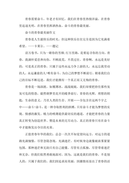 奋斗的青春最美丽作文800字精选