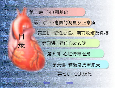 心电图基础知识及临床常见心电图详解