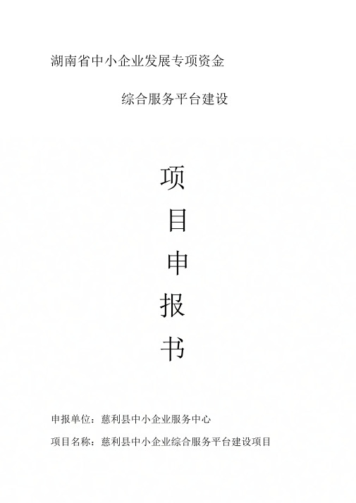 《中小企业项目申报书》