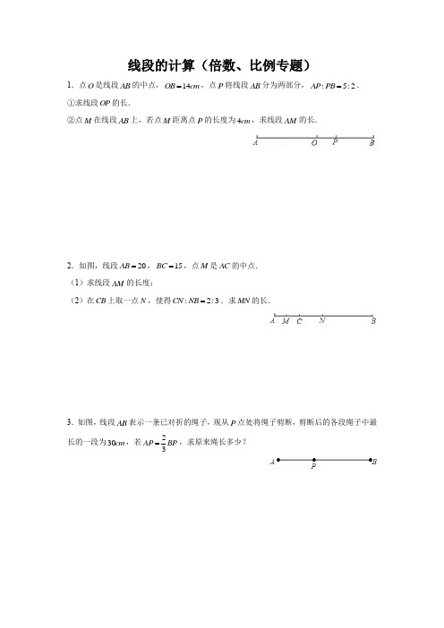 线段的计算(倍数、比例专题)