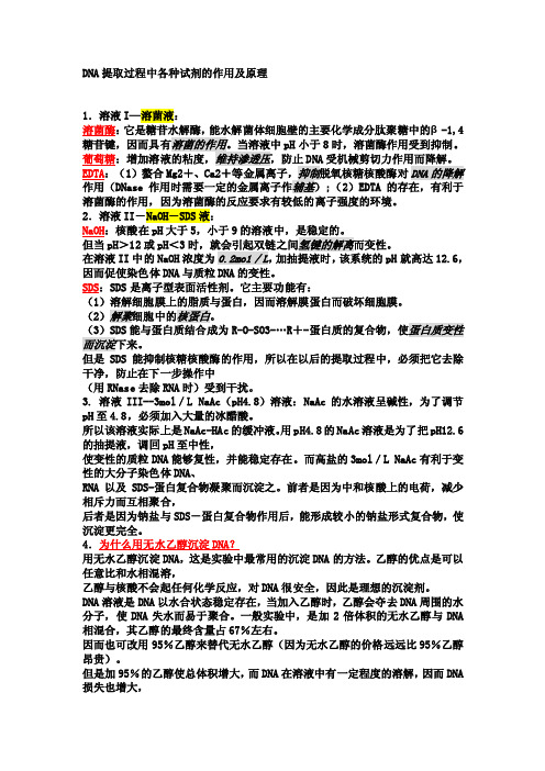 （新编）DNA提取过程中各种试剂的作用及原理