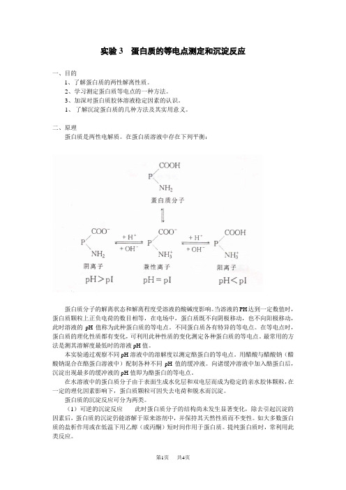 高中生物 实验3 蛋白质的等电点测定和沉淀反应