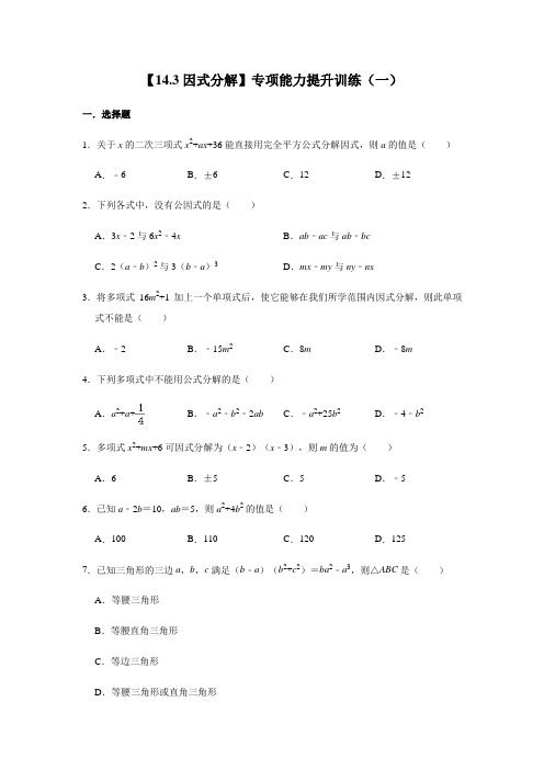 14.3 因式分解 人教版数学八年级上册专项能力提升训练及答案(2份)