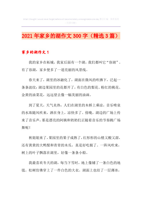 2021年家乡的湖作文300字(精选3篇)