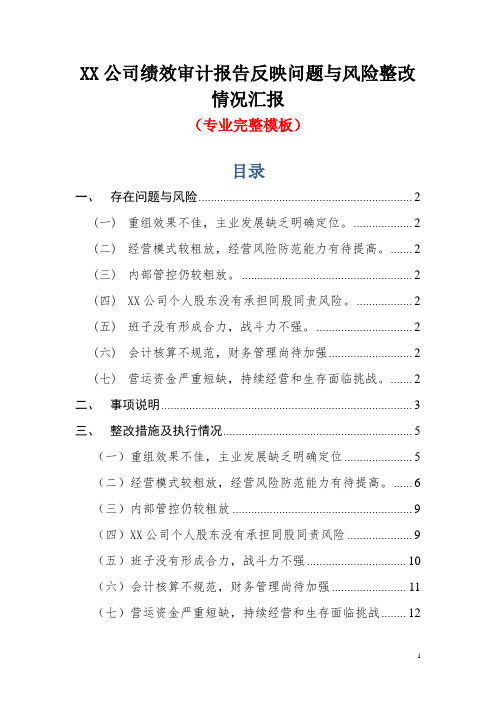 XX公司绩效审计报告反映问题与风险整改情况汇报(专业完整模板)