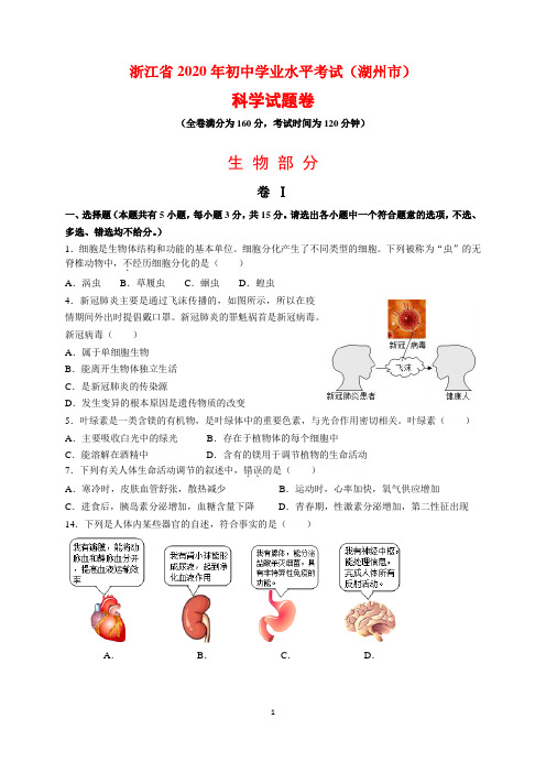 2020年浙江省湖州市中考生物试题及参考答案(word解析版)