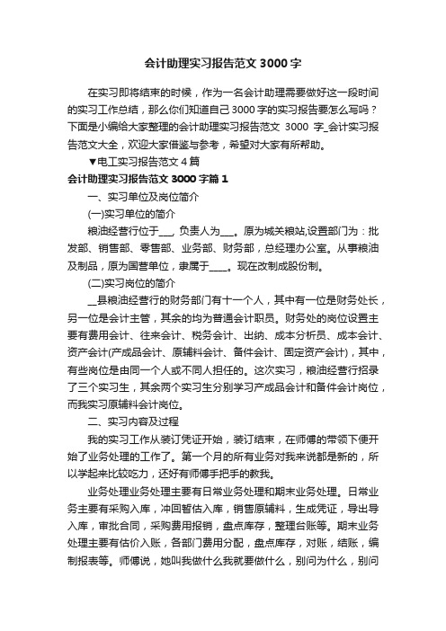 会计助理实习报告范文3000字