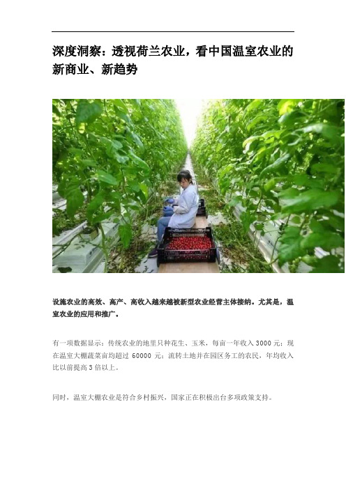 透视荷兰农业,看中国温室农业的新商业、新趋势