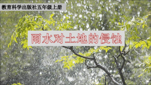 五年级上册科学课件 雨水对土地的侵蚀教科版 (共33页)PPT