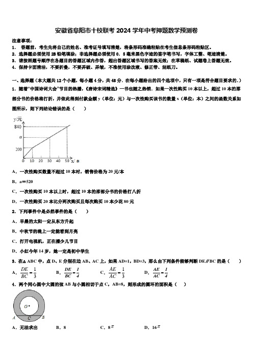 安徽省阜阳市十校联考2024届中考押题数学预测卷含解析