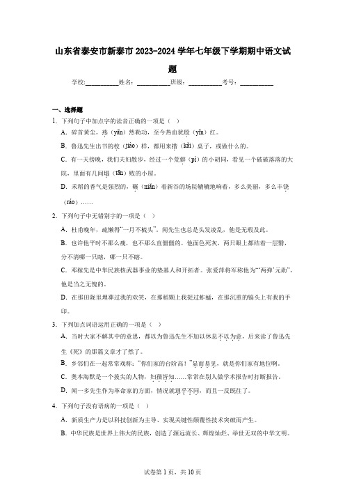 山东省泰安市新泰市2023-2024学年七年级下学期期中语文试题